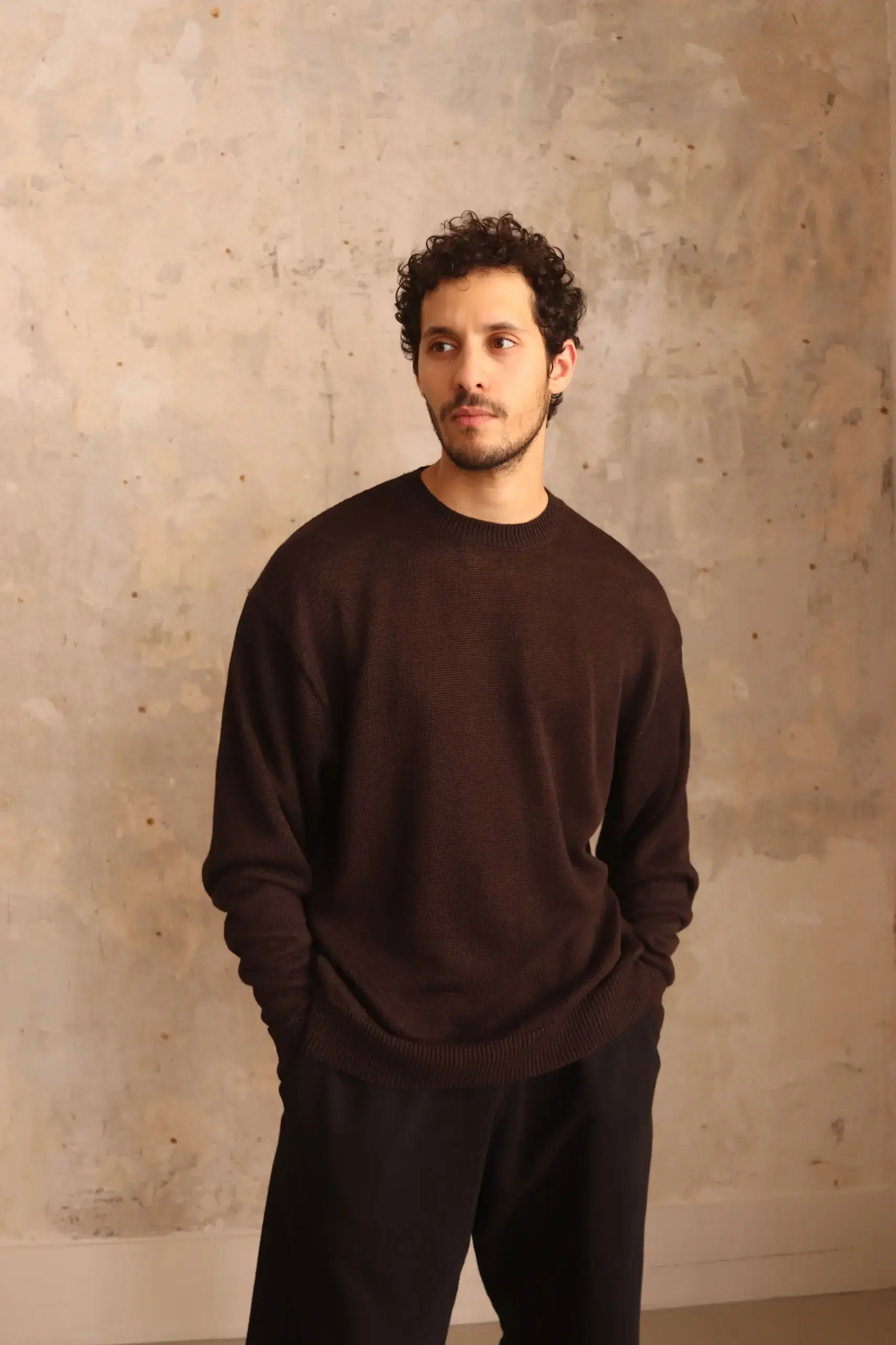 Comoli - Linen Crew-Neck Knit PO D01-06014 - BROWN
