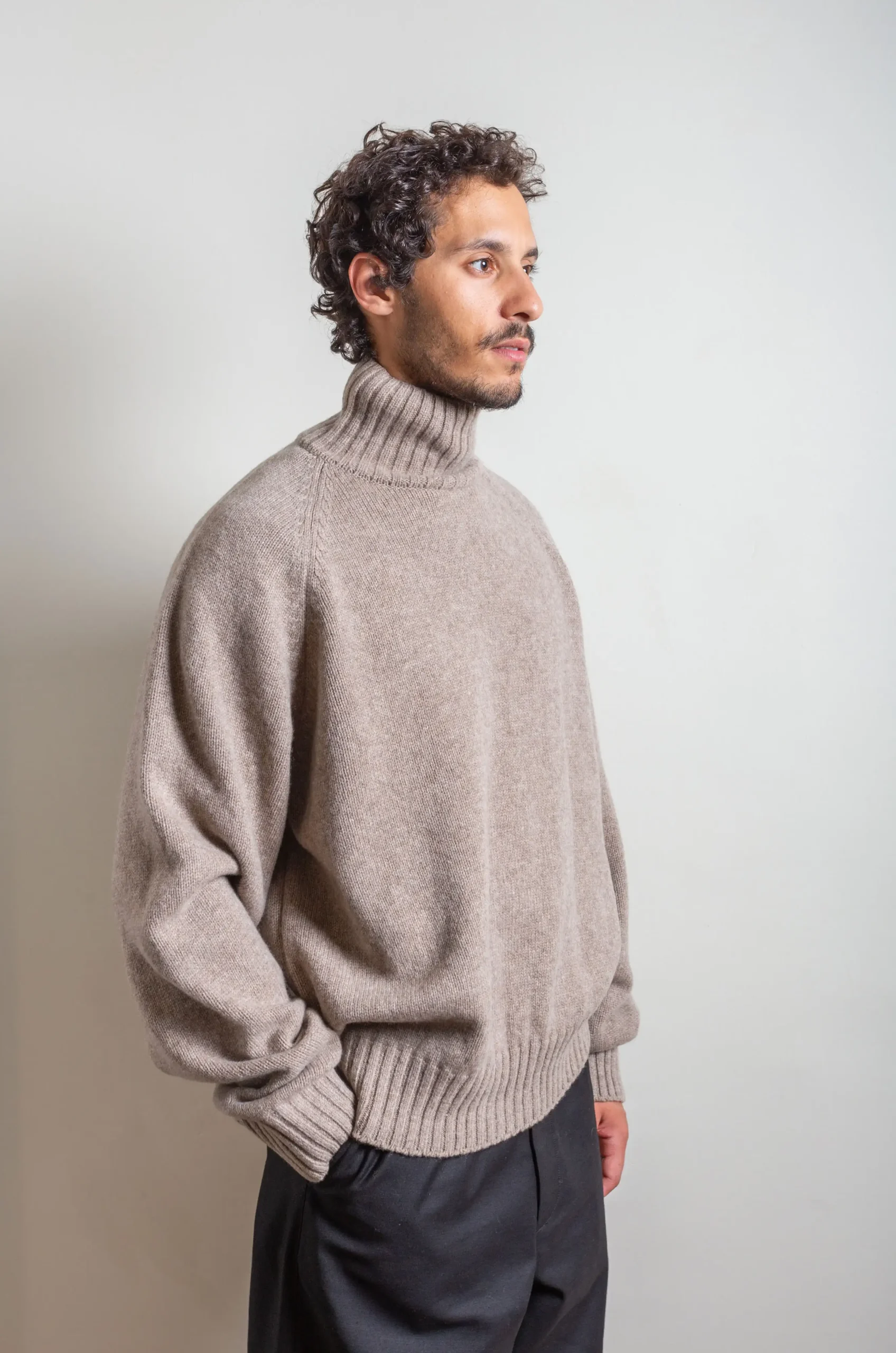 EX Fine Lambs Loose High Neck Knit LS - トップス